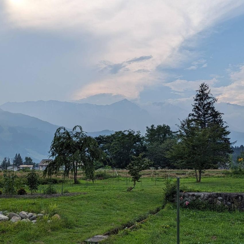 発酵する民 - 変わりゆく人びと